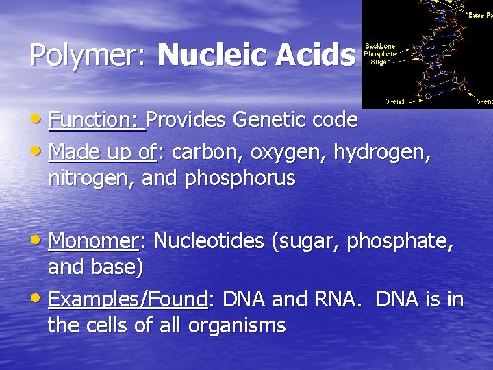 Polymer: Nucleic Acids • Function: Provides Genetic code • Made up of: carbon, oxygen,