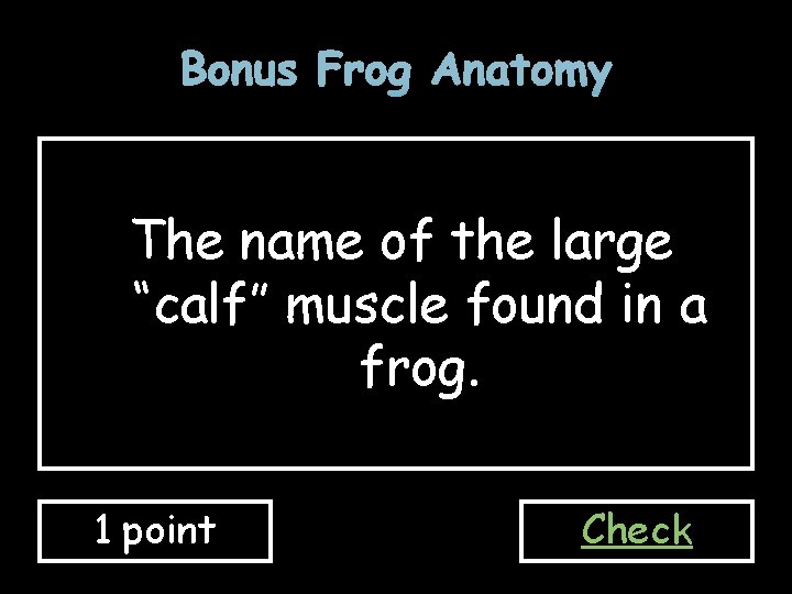 Bonus Frog Anatomy The name of the large “calf” muscle found in a frog.