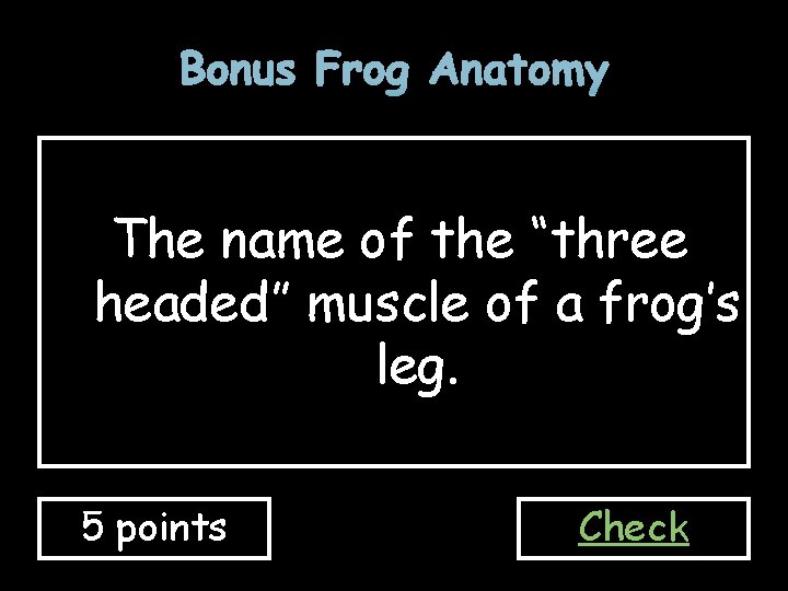 Bonus Frog Anatomy The name of the “three headed” muscle of a frog’s leg.