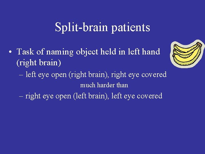 Split-brain patients • Task of naming object held in left hand (right brain) –