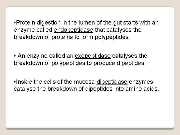  • Protein digestion in the lumen of the gut starts with an enzyme