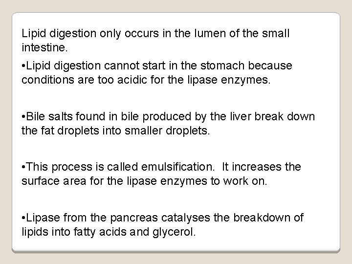 Lipid digestion only occurs in the lumen of the small intestine. • Lipid digestion