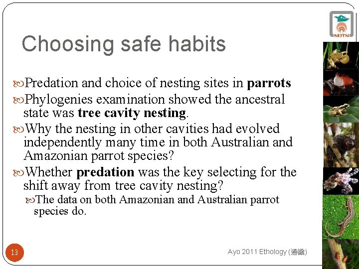 Choosing safe habits Predation and choice of nesting sites in parrots Phylogenies examination showed