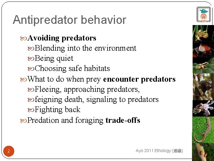 Antipredator behavior Avoiding predators Blending into the environment Being quiet Choosing safe habitats What