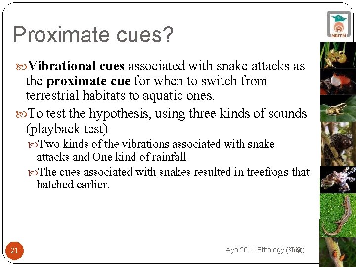 Proximate cues? Vibrational cues associated with snake attacks as the proximate cue for when