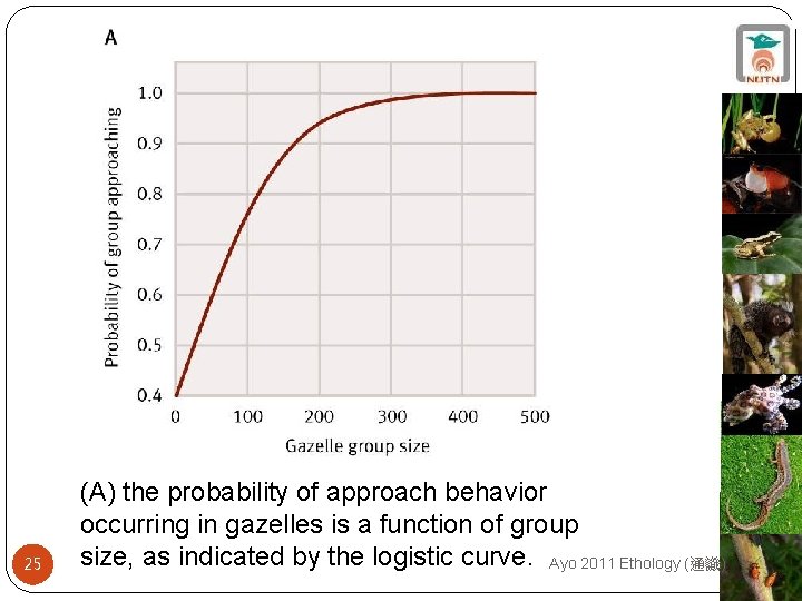 25 (A) the probability of approach behavior occurring in gazelles is a function of