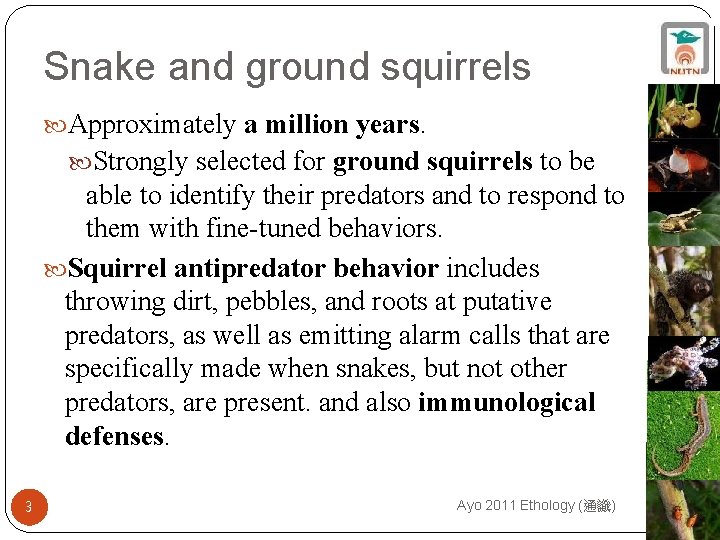 Snake and ground squirrels Approximately a million years. Strongly selected for ground squirrels to