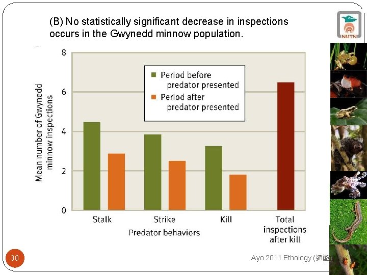 (B) No statistically significant decrease in inspections occurs in the Gwynedd minnow population. 30