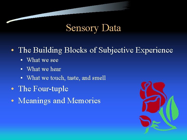 Sensory Data • The Building Blocks of Subjective Experience • What we see •