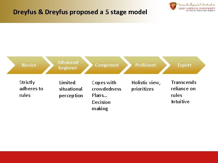 Dreyfus & Dreyfus proposed a 5 stage model Novice Strictly adheres to rules Advanced