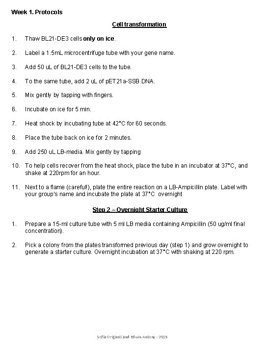 Week 1. Protocols Cell transformation 1. Thaw BL 21 -DE 3 cells only on