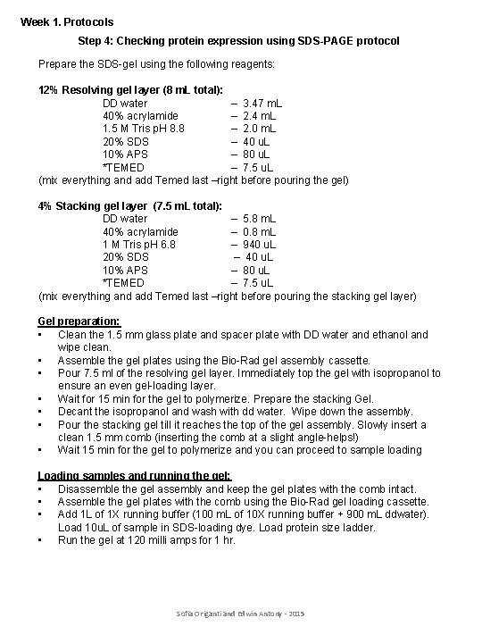Week 1. Protocols Step 4: Checking protein expression using SDS-PAGE protocol Prepare the SDS-gel