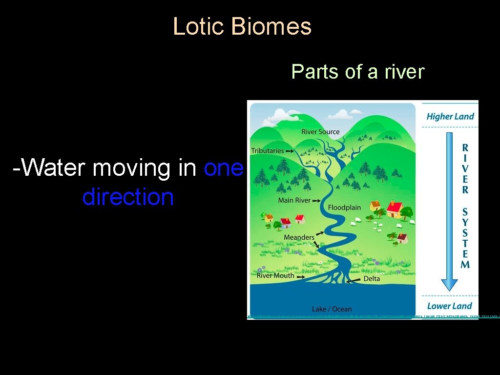 Lotic Biomes Parts of a river -Water moving in one direction https: //dr 282