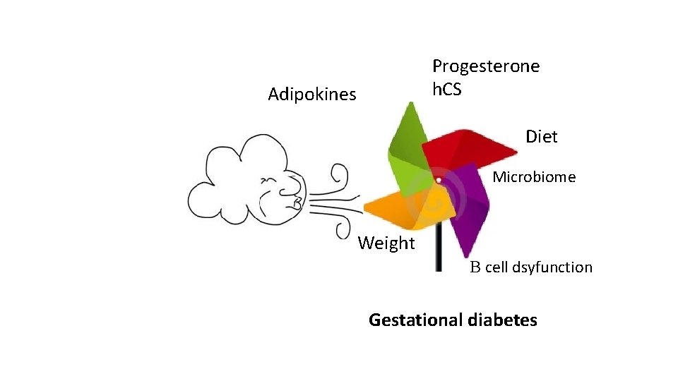 Progesterone h. CS Adipokines Diet Microbiome Weight B cell dsyfunction Gestational diabetes 