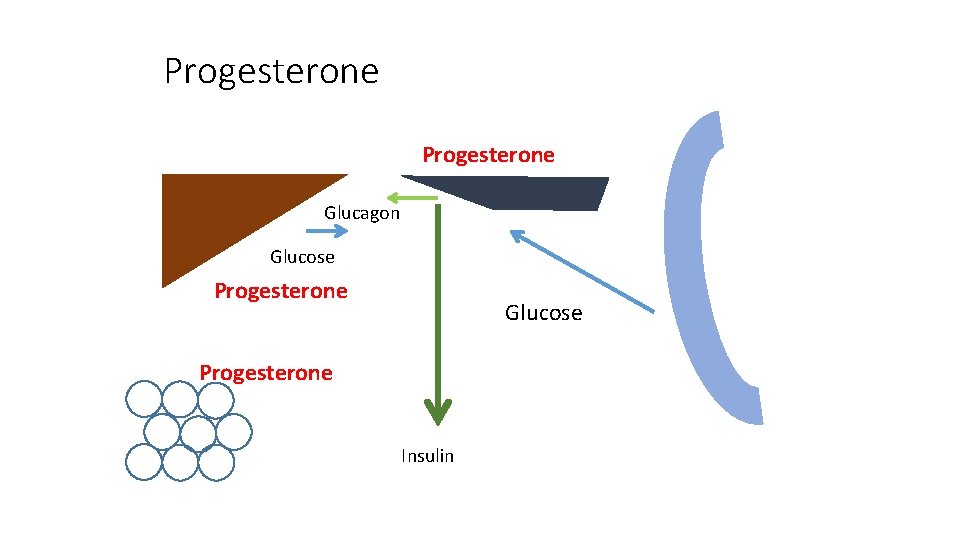 Progesterone Glucagon Glucose Progesterone Insulin 