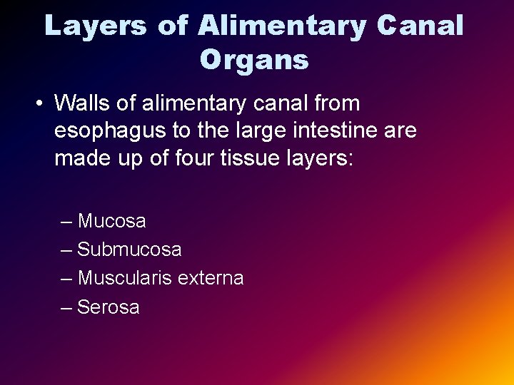 Layers of Alimentary Canal Organs • Walls of alimentary canal from esophagus to the