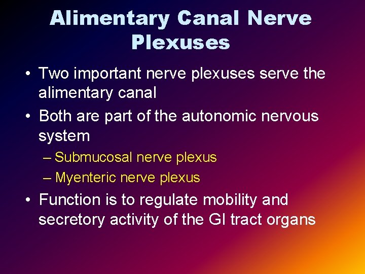 Alimentary Canal Nerve Plexuses • Two important nerve plexuses serve the alimentary canal •