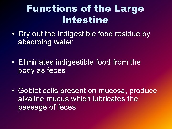 Functions of the Large Intestine • Dry out the indigestible food residue by absorbing