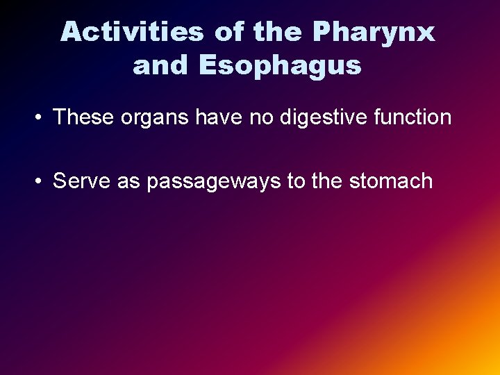 Activities of the Pharynx and Esophagus • These organs have no digestive function •