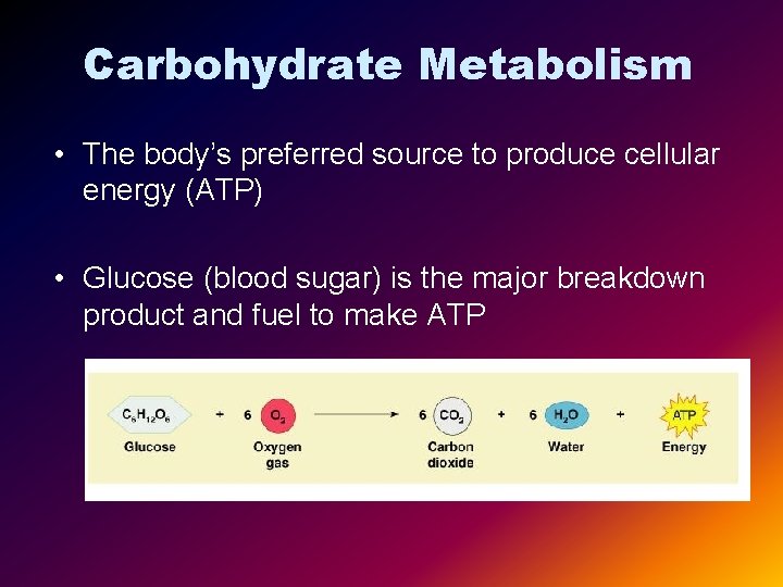 Carbohydrate Metabolism • The body’s preferred source to produce cellular energy (ATP) • Glucose