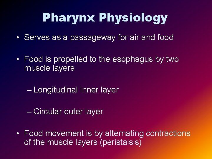 Pharynx Physiology • Serves as a passageway for air and food • Food is