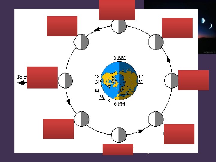 Moon Phases • • Due to revolution Be able to interpret diagram Waxing (going