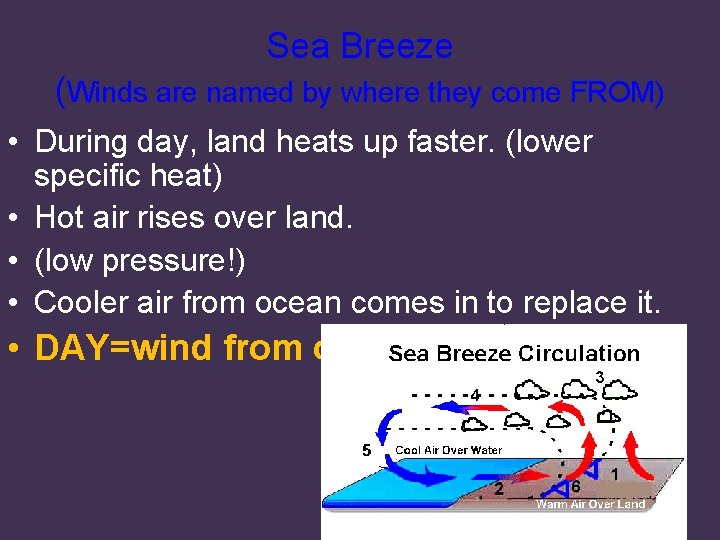 Sea Breeze (Winds are named by where they come FROM) • During day, land