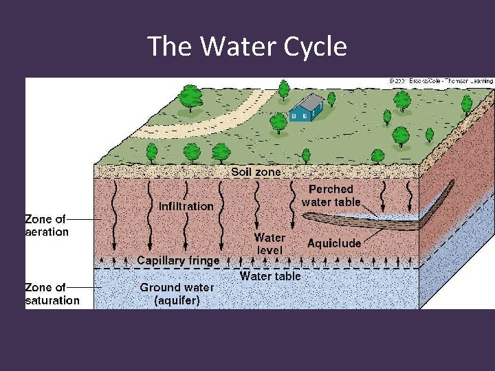 The Water Cycle 