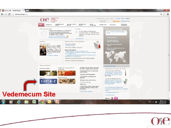 Vedemecum Site 6 
