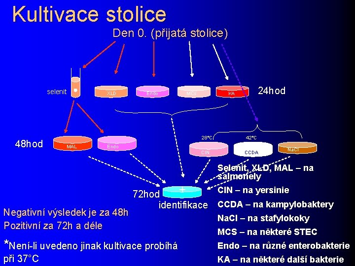 Kultivace stolice Den 0. (přijatá stolice) selenit 48 hod XLD Endo MCs 28°C MAL