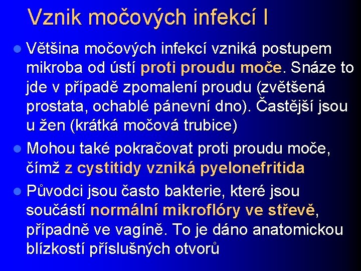 Vznik močových infekcí I l Většina močových infekcí vzniká postupem mikroba od ústí proti