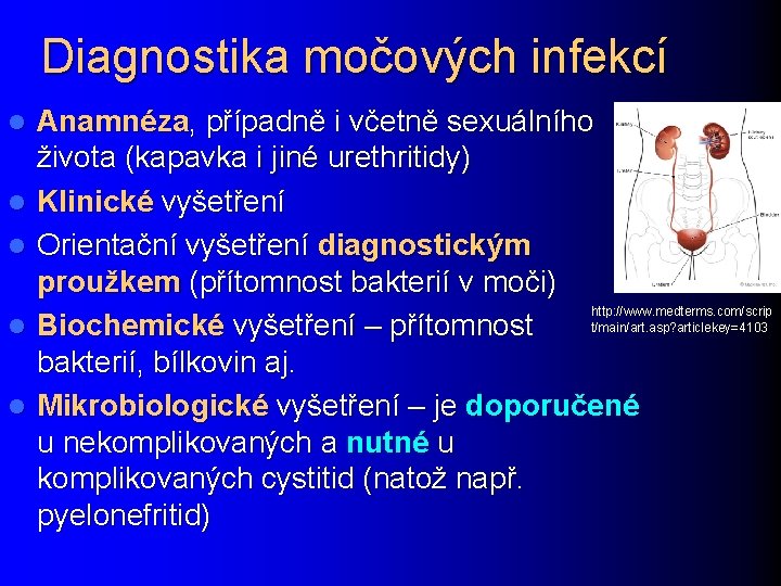 Diagnostika močových infekcí l l l Anamnéza, případně i včetně sexuálního života (kapavka i