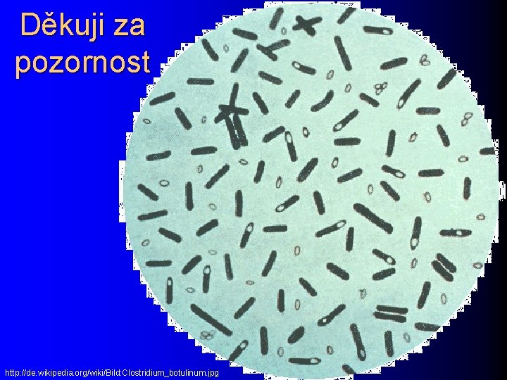 Děkuji za pozornost http: //de. wikipedia. org/wiki/Bild: Clostridium_botulinum. jpg 