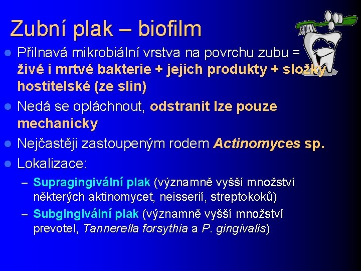 Zubní plak – biofilm l l Přilnavá mikrobiální vrstva na povrchu zubu = živé