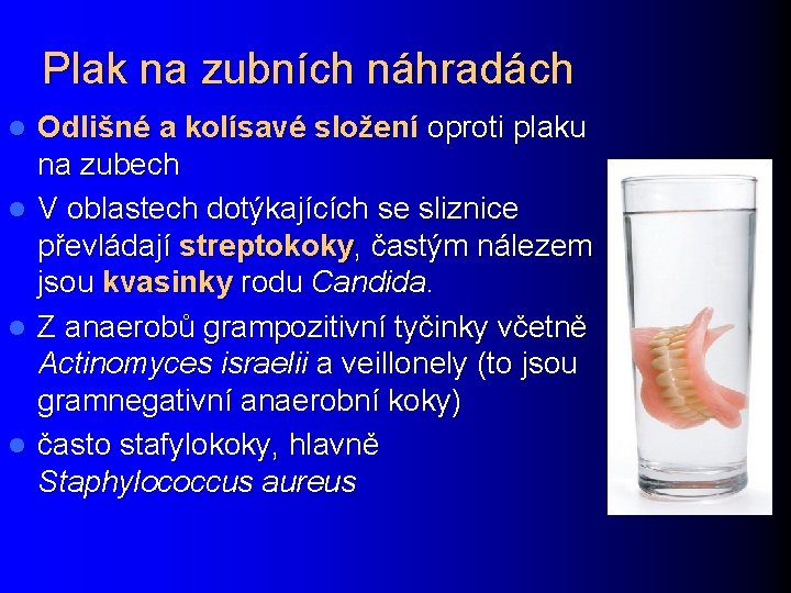 Plak na zubních náhradách Odlišné a kolísavé složení oproti plaku na zubech l V