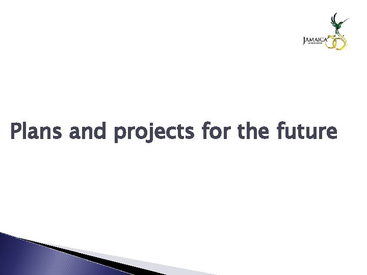 Plans and projects for the future 