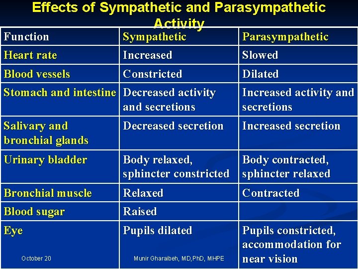 Effects of Sympathetic and Parasympathetic Activity Function Sympathetic Parasympathetic Heart rate Increased Slowed Blood