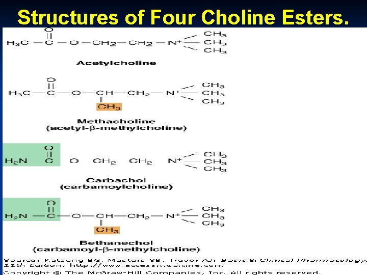 Structures of Four Choline Esters. October 20 Munir Gharaibeh, MD, Ph. D, MHPE 