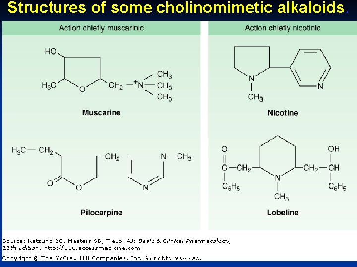 Structures of some cholinomimetic alkaloids. October 20 Munir Gharaibeh, MD, Ph. D, MHPE 