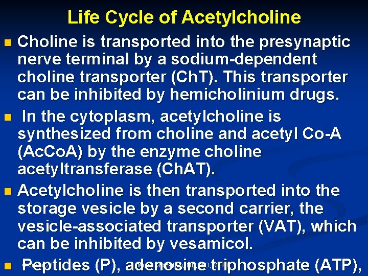 Life Cycle of Acetylcholine Choline is transported into the presynaptic nerve terminal by a