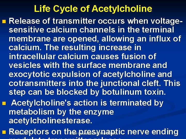 Life Cycle of Acetylcholine Release of transmitter occurs when voltagesensitive calcium channels in the