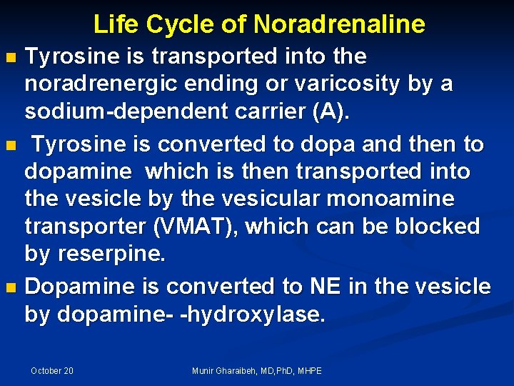 Life Cycle of Noradrenaline Tyrosine is transported into the noradrenergic ending or varicosity by