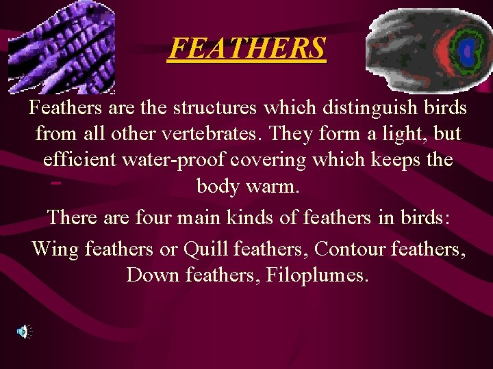 FEATHERS Feathers are the structures which distinguish birds from all other vertebrates. They form