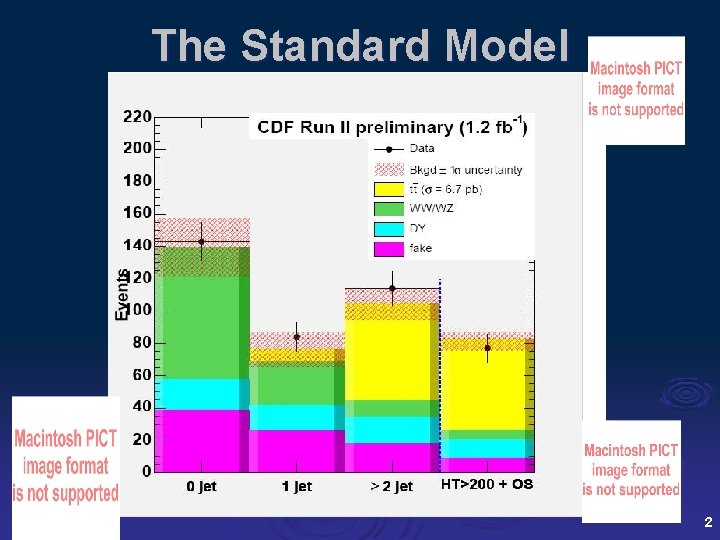 The Standard Model 2 