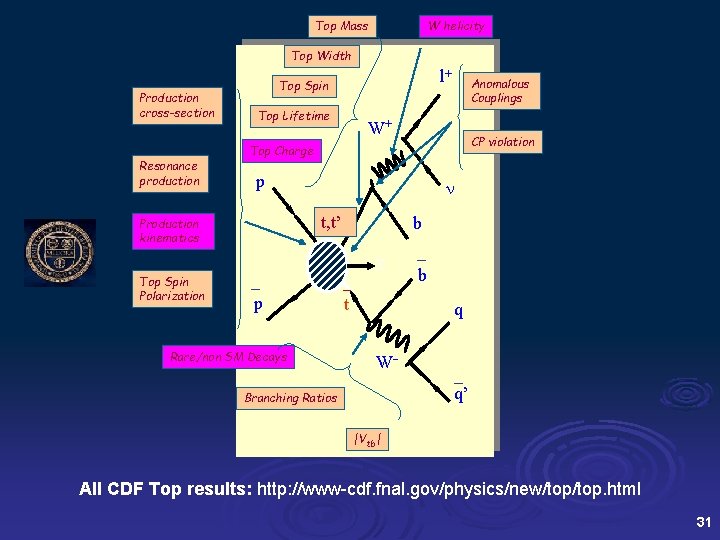 Top Mass W helicity Top Width Production cross-section Resonance production Top Lifetime Anomalous Couplings
