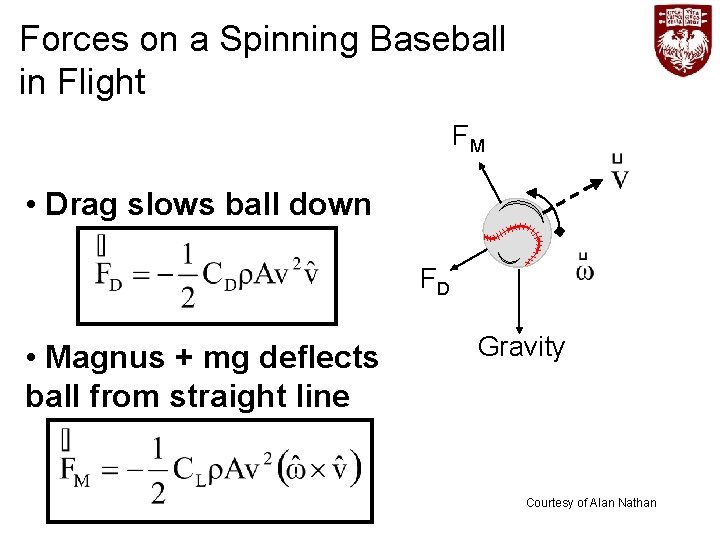 Forces on a Spinning Baseball in Flight FM • Drag slows ball down FD