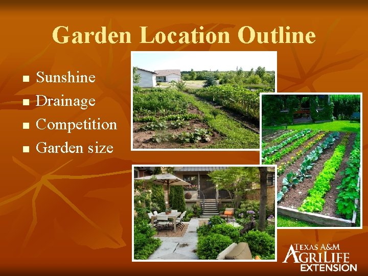 Garden Location Outline n n Sunshine Drainage Competition Garden size 