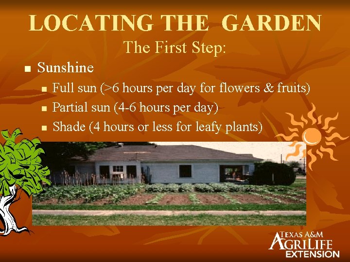 LOCATING THE GARDEN The First Step: n Sunshine n n n Full sun (>6
