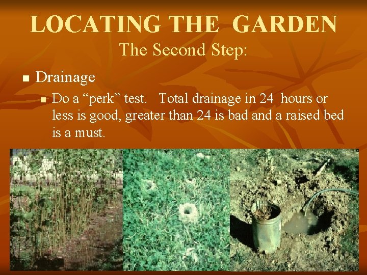 LOCATING THE GARDEN The Second Step: n Drainage n Do a “perk” test. Total