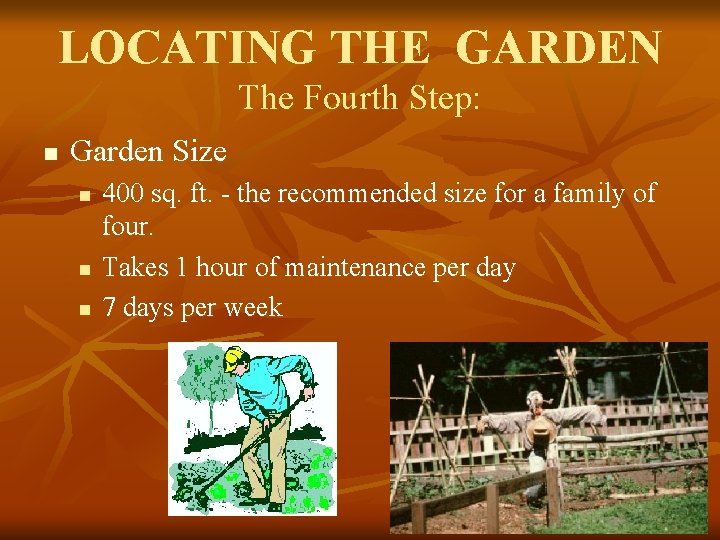 LOCATING THE GARDEN The Fourth Step: n Garden Size n n n 400 sq.